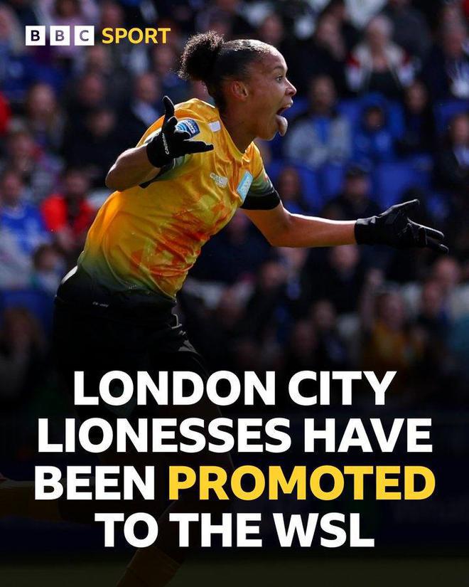 类似的情况 类似的情况