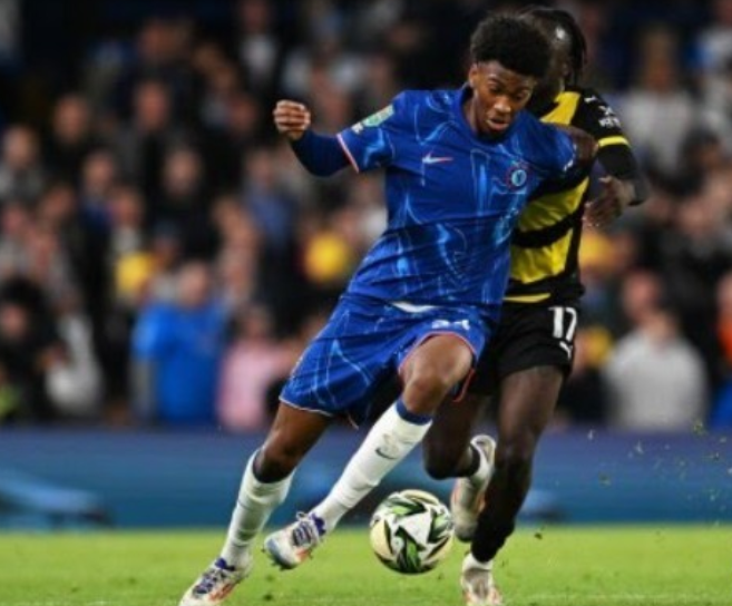 示了极高的 示了极高的