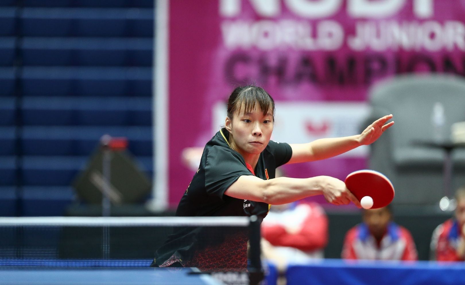 的球队在本 的球队在本