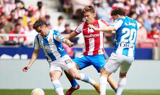 播和案例分 播和案例分