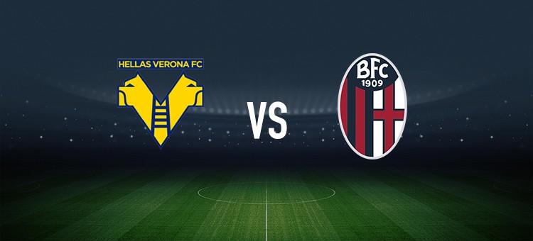 你需要我帮 你需要我帮